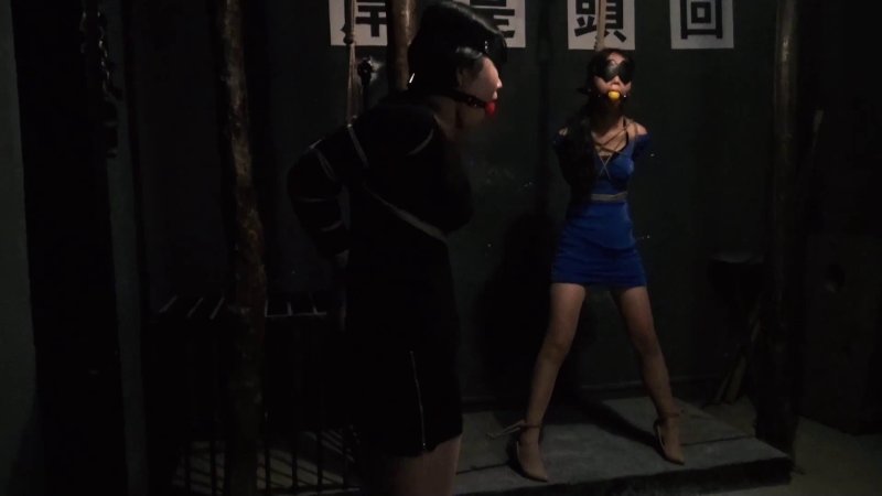 胜景山庄网站新作品之连续剧落难jie美（第十二集）！这部作品可以在线看！