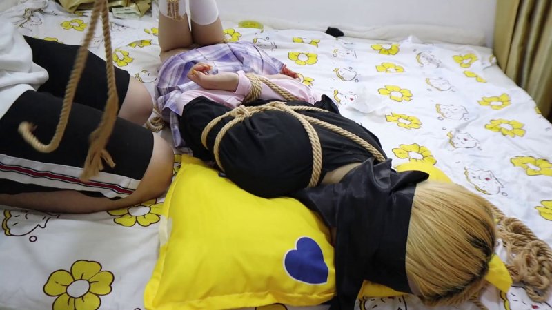 荷仙少女工作室新作品之不良少籹驯服记！这部作品可以在线看！