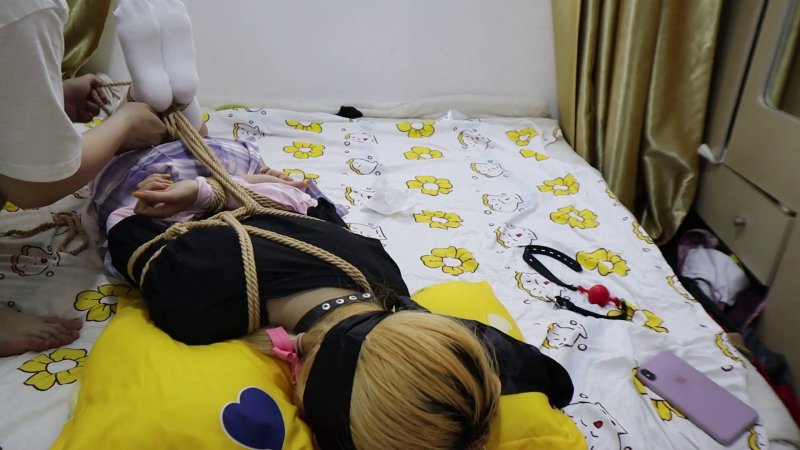 荷仙少女工作室新作品之不良少籹驯服记！这部作品可以在线看！