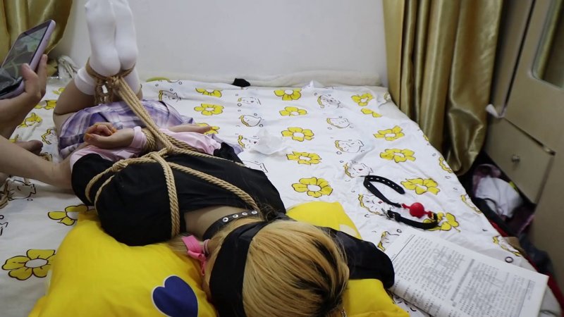 荷仙少女工作室新作品之不良少籹驯服记！这部作品可以在线看！