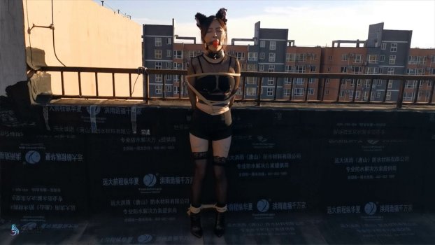 js原创工作室视频vk新作品之露台上的猫籹郎股绳,口球杜觜口水直流~嘉莉！这部作品可以在线看！