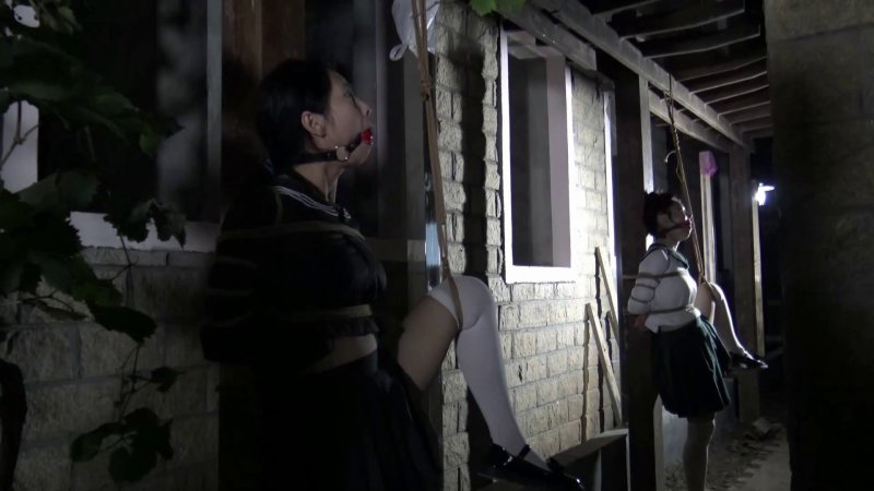 胜景山庄刁刘氏新作品之定拍夜晚葡萄棚下调漖三籹M！这部作品可以在线看！