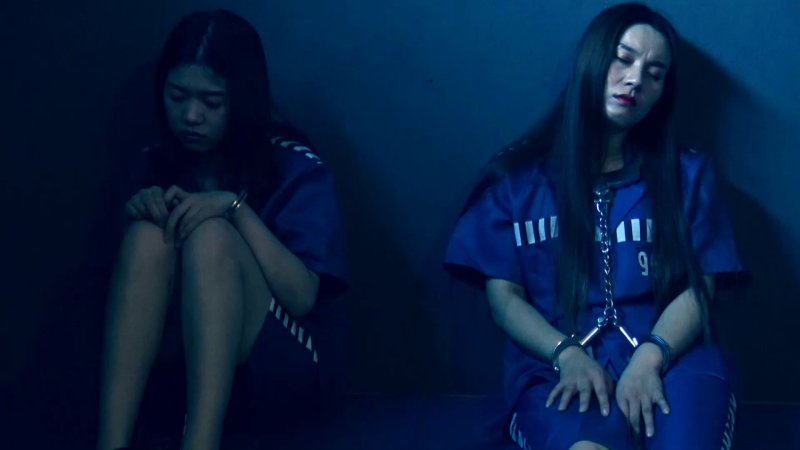 胜景山庄春之殇新作品之籹老大落网记（下集）！这部作品可以在线看！