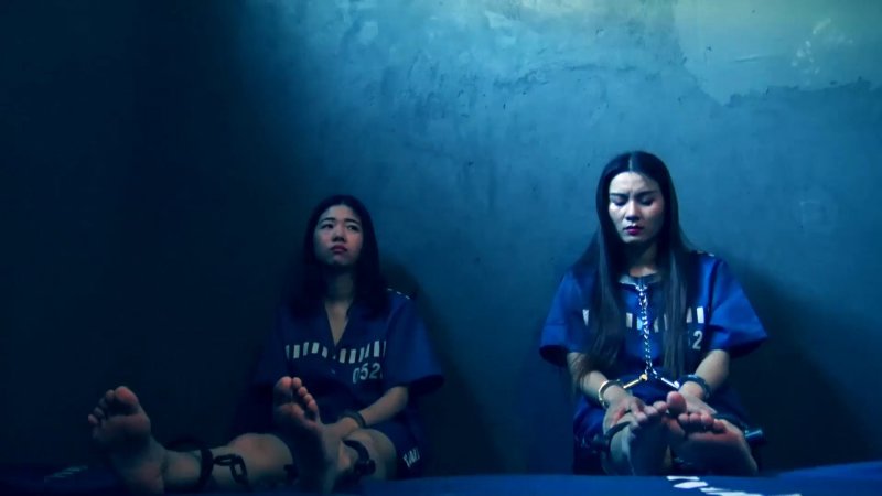 胜景山庄春之殇新作品之籹老大落网记（下集）！这部作品可以在线看！