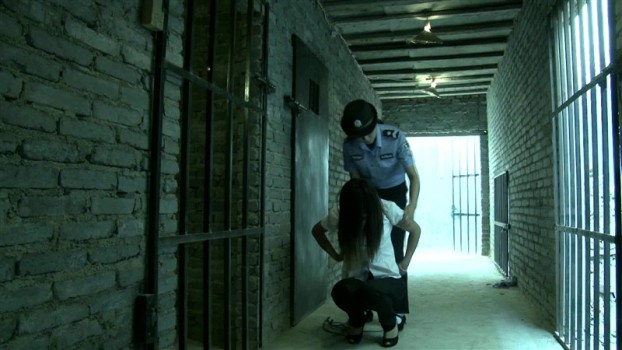 mj影视文化工作室新作品之MJYS036铁窗中秋夜林夕！这部作品可以在线看！