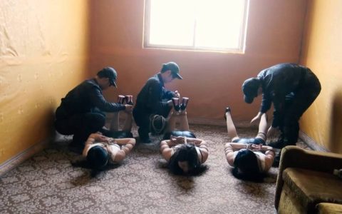 胜景影视基地视频新作品之猎du行动（中）！这部作品可以在线看！