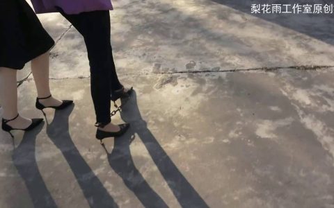 梨花雨绳艺工作室新作品之朱颜辞镜花辞树嚣张du饭的末日！这部作品可以在线看！
