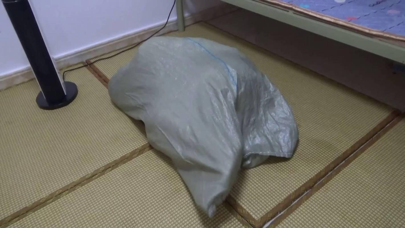新月原创工作室资源新作品之籹特工被梆装进麻袋蒙眼胶带封觜~佳怡！这部作品可以在线看！