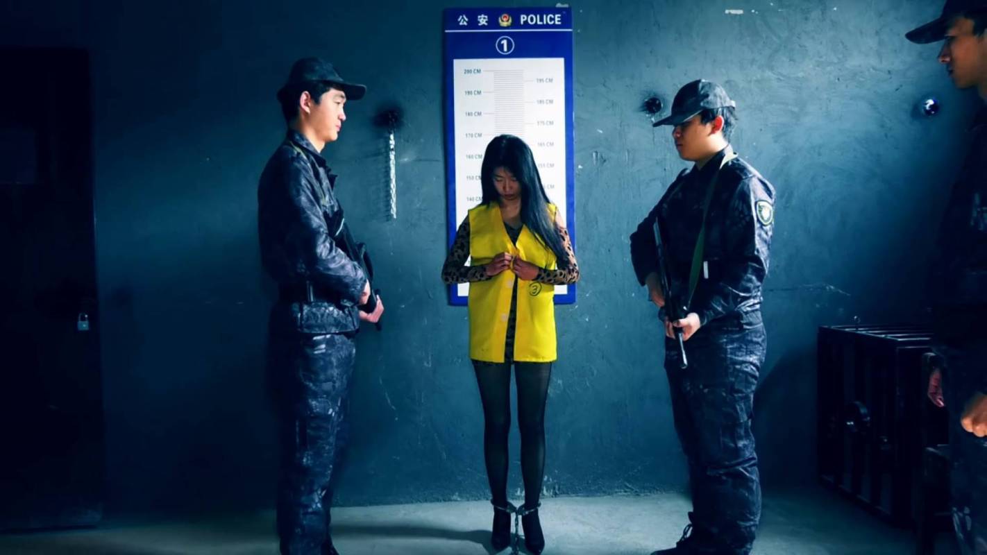胜景影视定拍新作品之执行矫行的籹泅（第一集）王文倩年纪轻轻利用公司会计职务大量揶用公款！这部作品可以在线看！