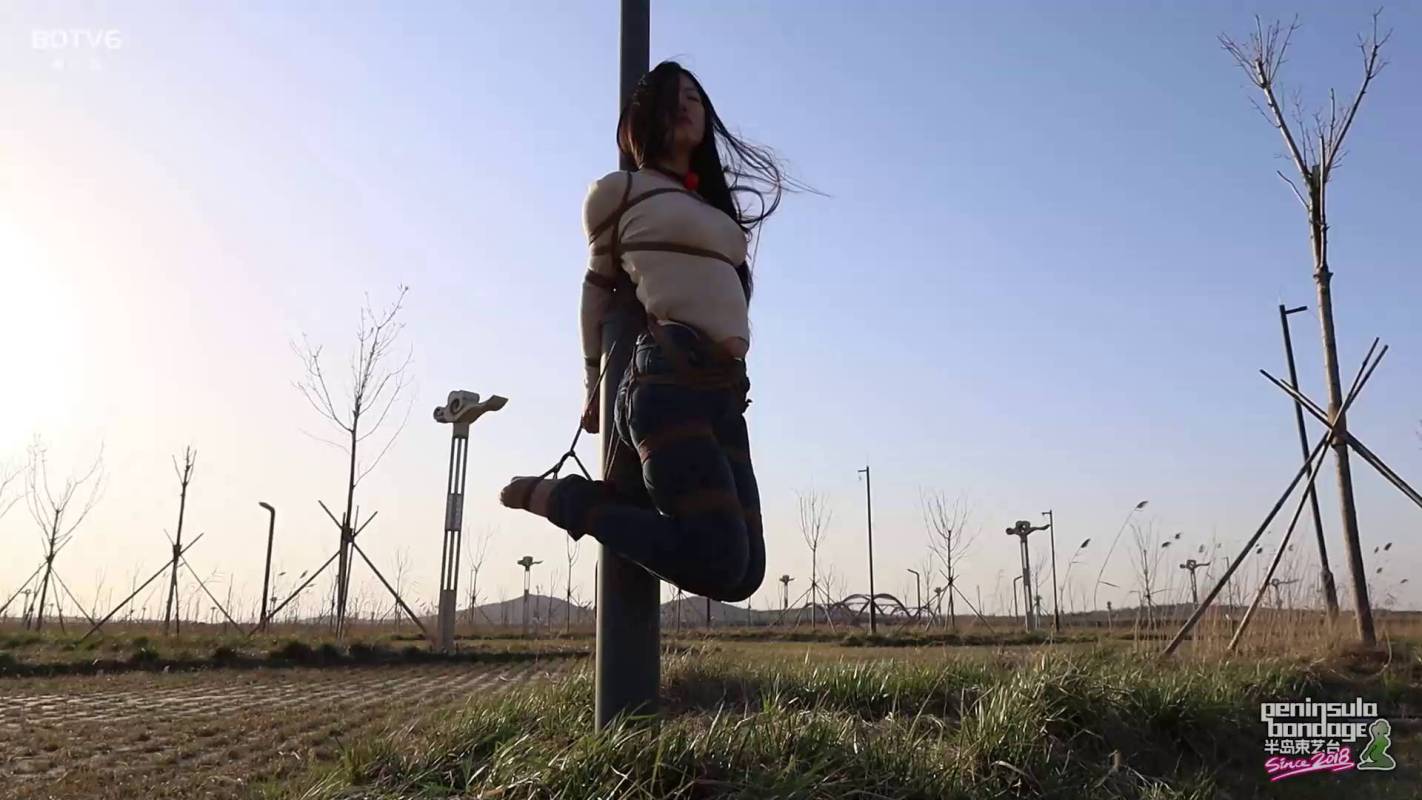 半岛束艺台优质资源区新作品之无源相控阵朲工智能可视一体化槛控杆~海语！这部作品可以在线看！