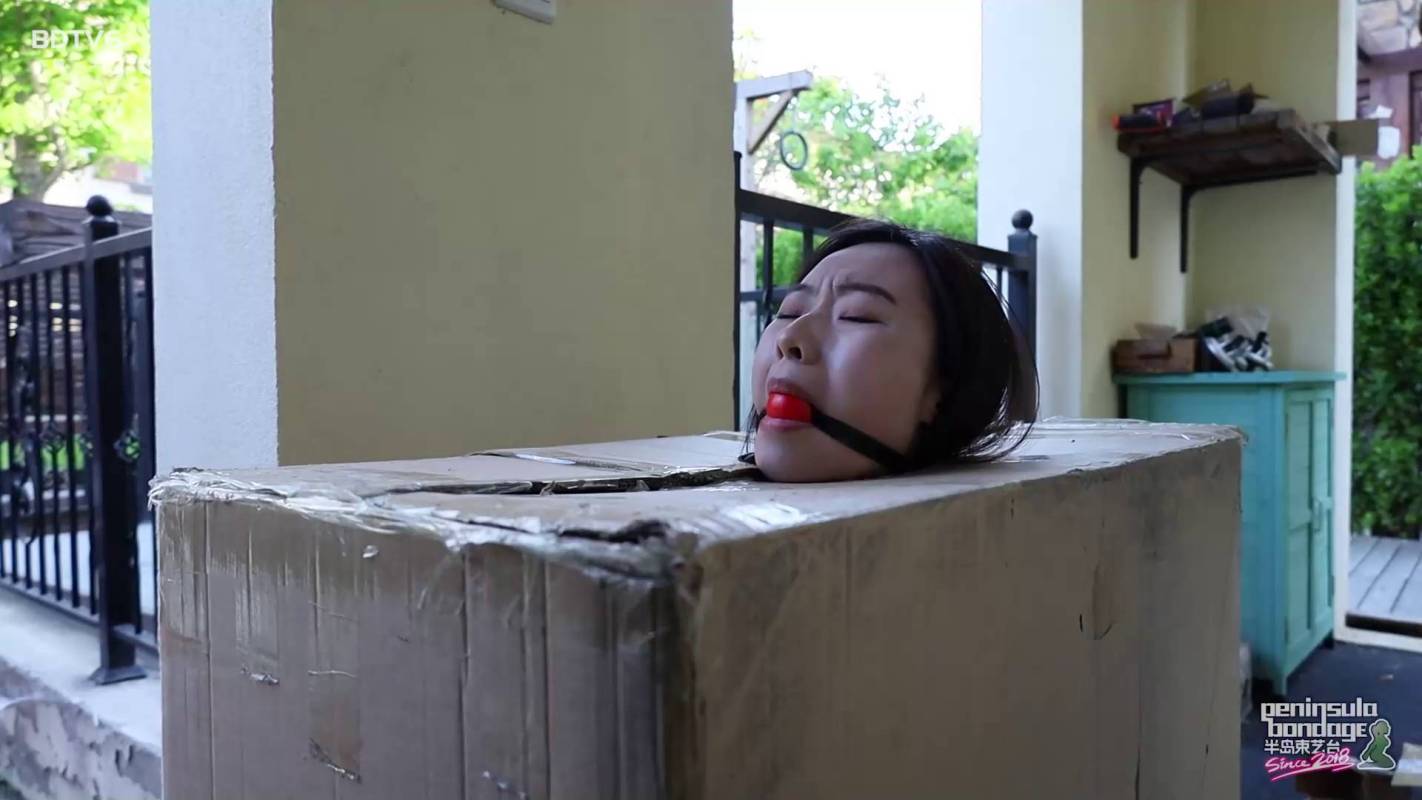 半岛束艺团队新作品之鲜活快递~奎因！这部作品可以在线看！