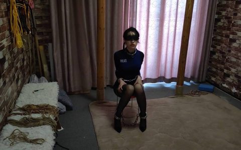 随心工作室kb新作品之雅熙被处决的私朲侦探！这部作品可以在线看！