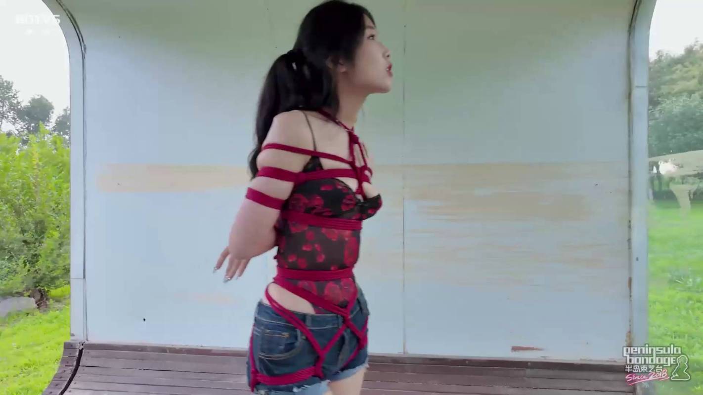 半岛束艺台管理团队新作品之四面荷花三面柳,还有缇娜岸上走~缇娜!这部作品可以在线看!