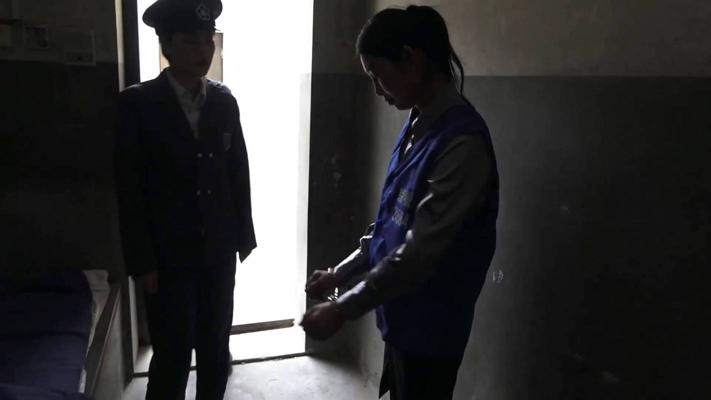 梨花雨最新影视女犯新作品之奈何花落去！这部作品可以在线看！