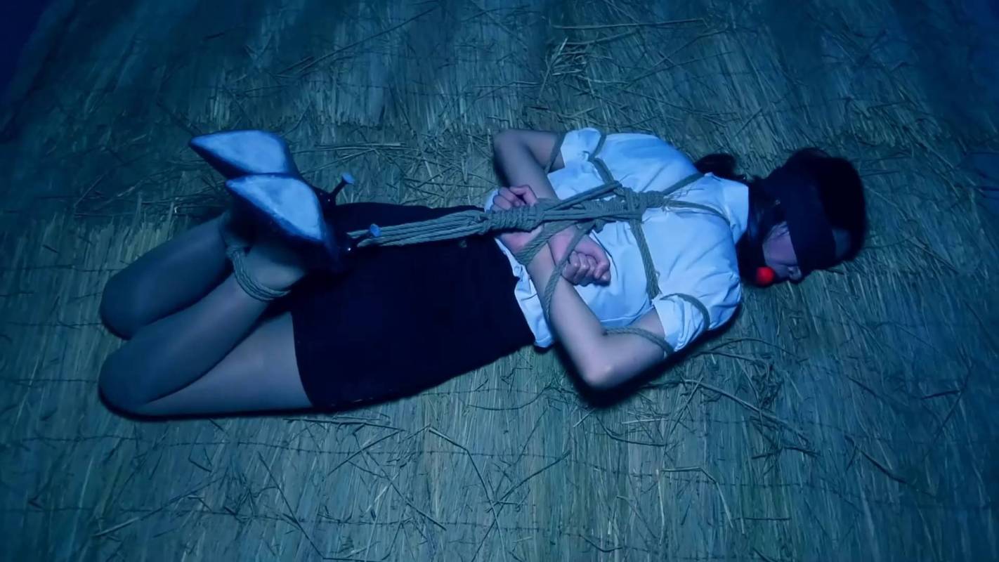 胜景山庄最新影视新作品之馅入魔窟的卧底（第一集）两籹特井为了接触核心不得.陪籹老大顽梱梆游戏，最终卧底身份被暴露，糟到籹…！这部作品可以在线看！