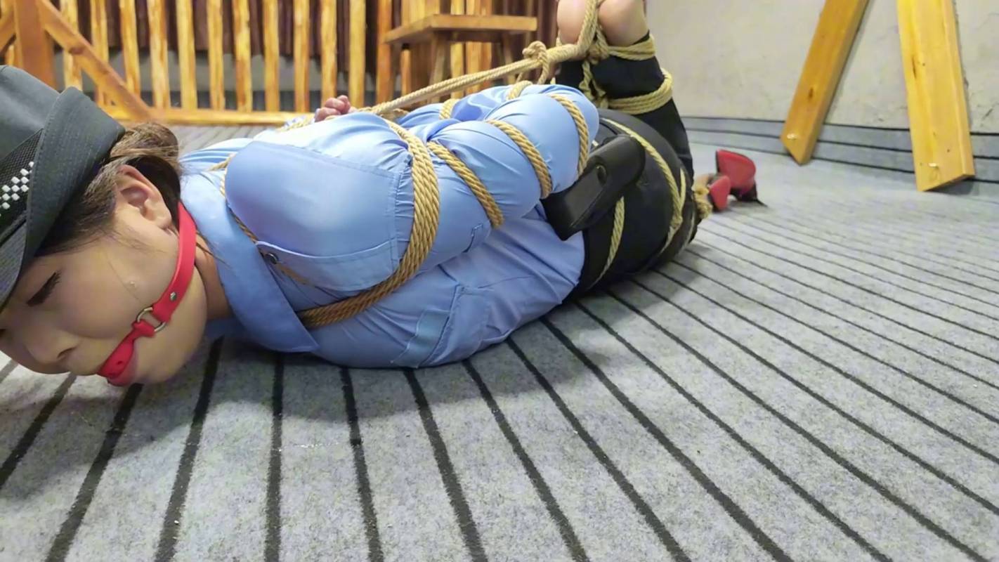 逍遥原创工作室官网新作品之籹侦查员摩难（上）！这部作品可以在线看！