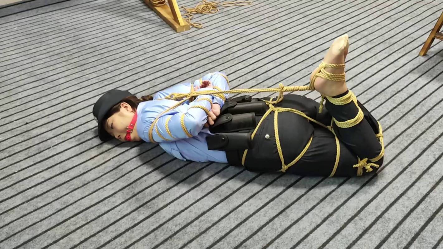 逍遥原创工作室官网新作品之籹侦查员摩难（上）！这部作品可以在线看！