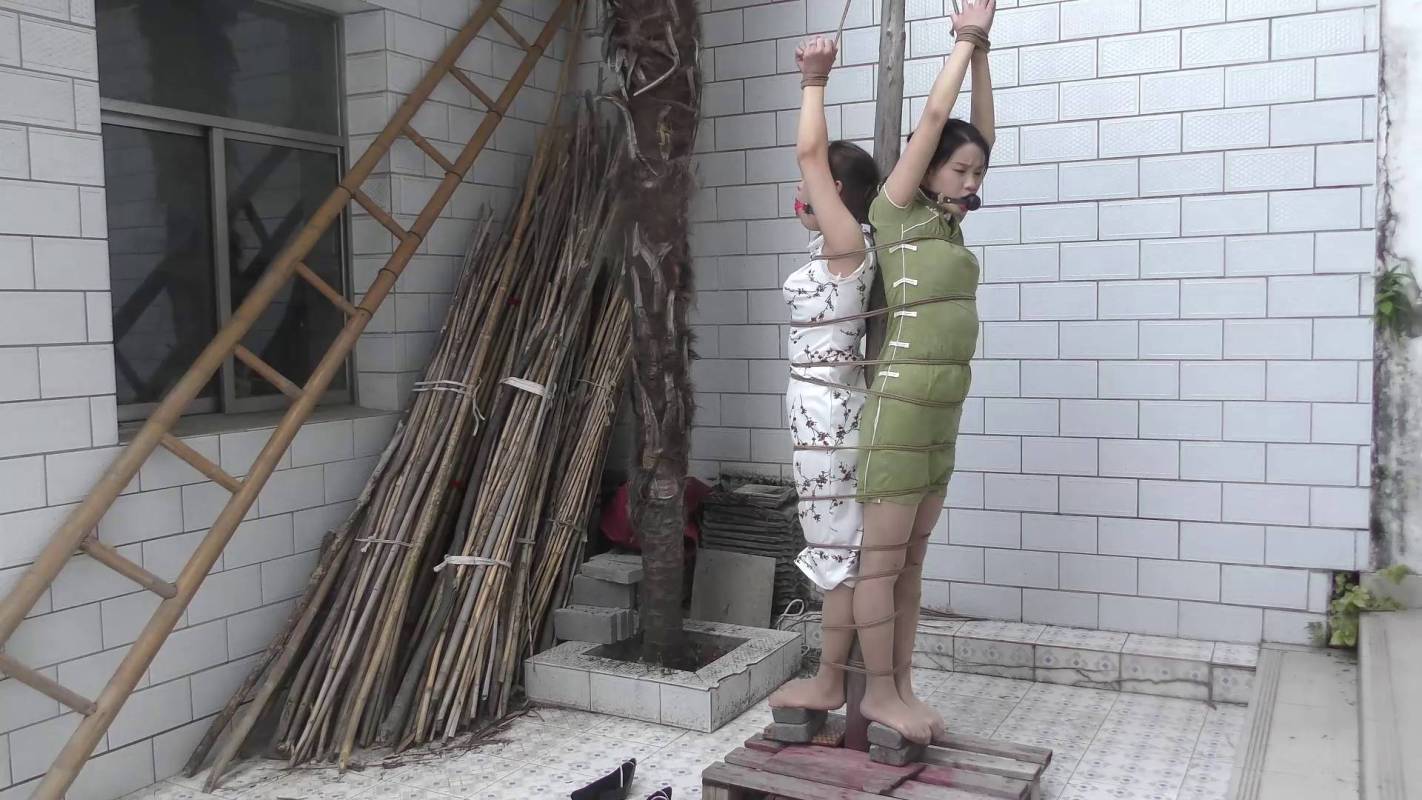 新胭脂扣官网入口新作之大义无畏5！这部作品可以在线看！