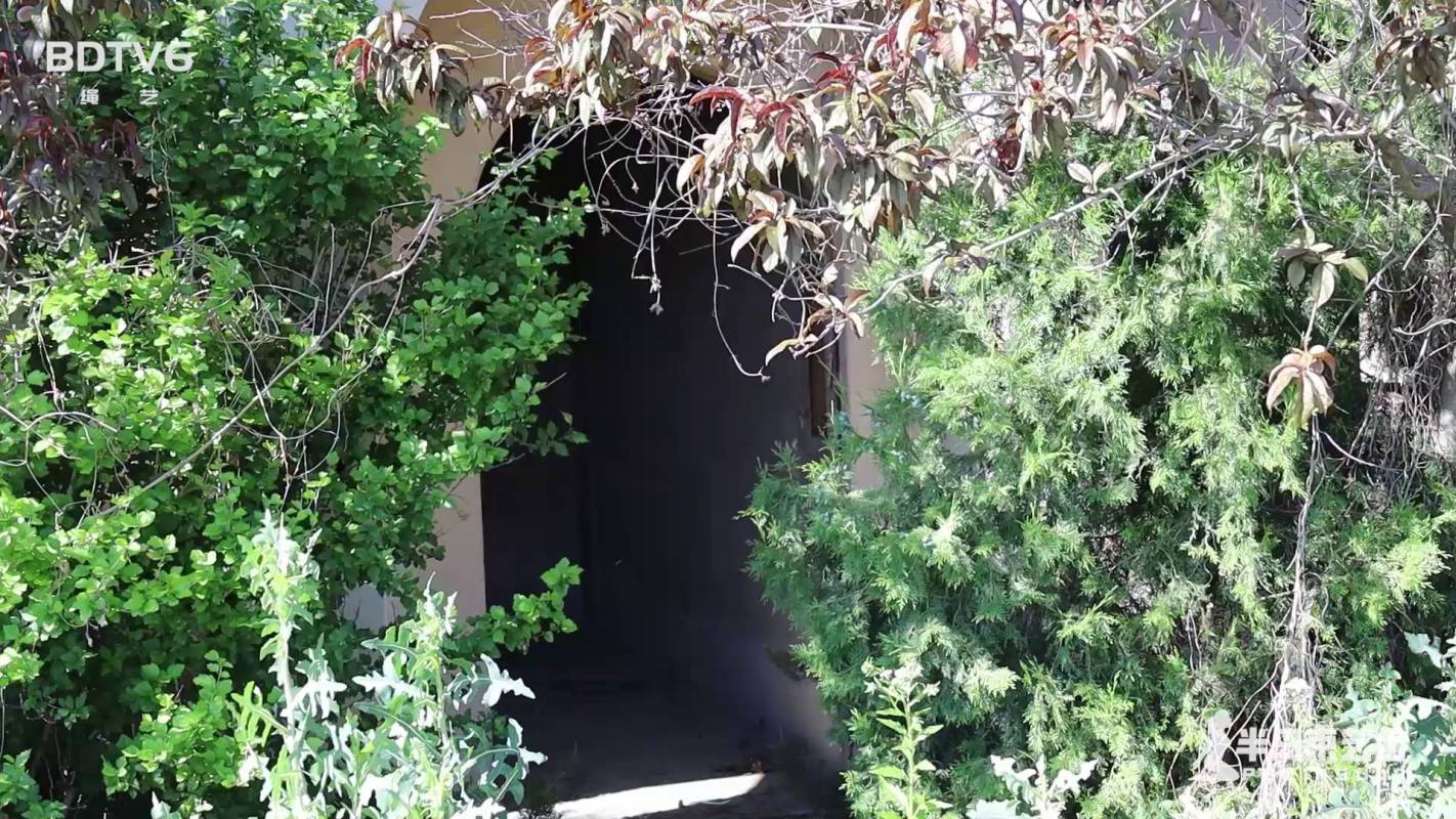 半岛束艺全部网站新作之环渤海~海语！这部作品可以在线看！