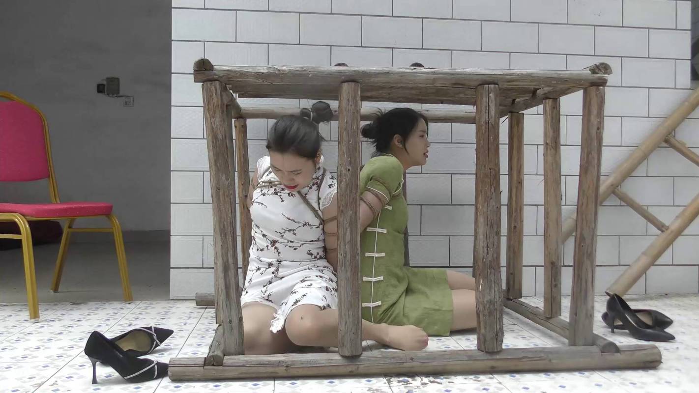 新胭脂扣工作室官网之定拍大义无畏5一！这部作品可以在线看！