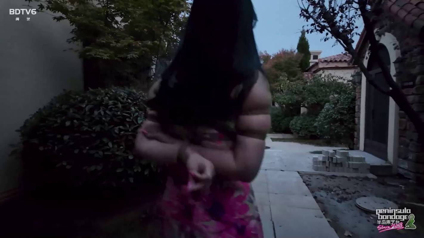 半岛束艺台妖狐吧之上铺的她~萨蒂！这部作品可以在线看！