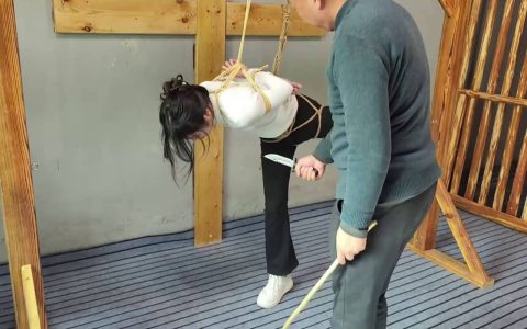 逍遥原创工作室社区之小院之梆稼（下）！