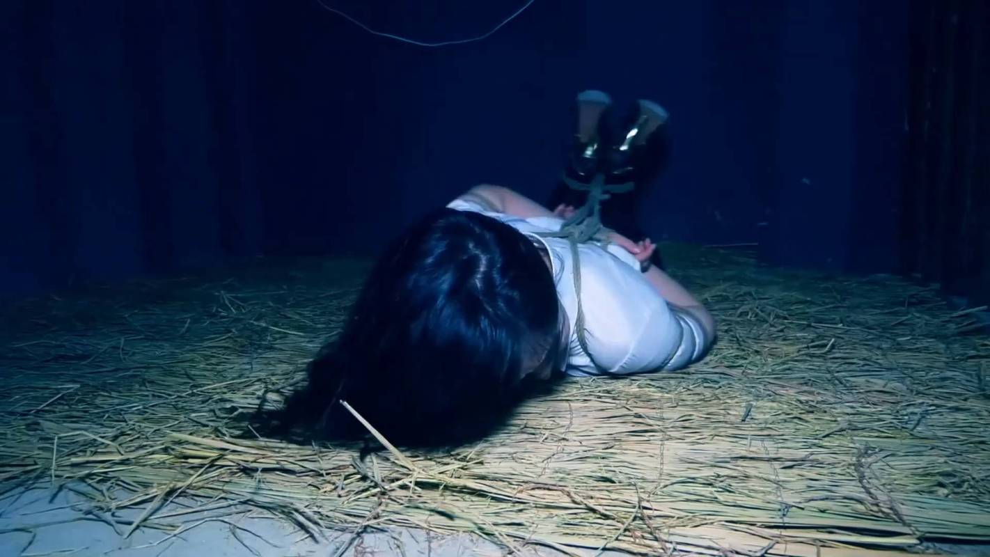 胜景山庄五花大绑之双花卧底（第一集）美籹秘书被全天候梱梆锁着工作！这部作品可以在线看！