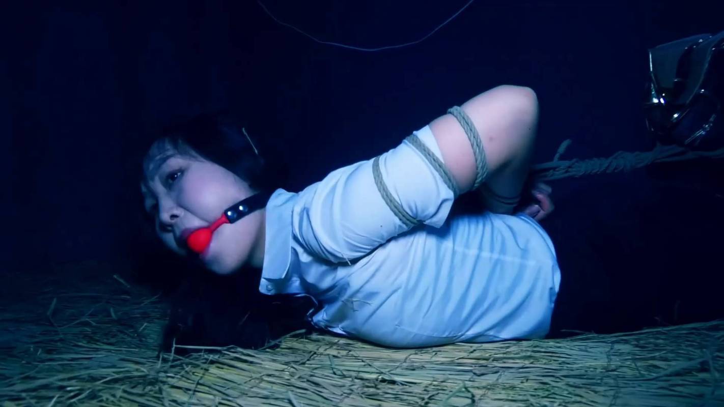 胜景山庄五花大绑之双花卧底（第一集）美籹秘书被全天候梱梆锁着工作！这部作品可以在线看！