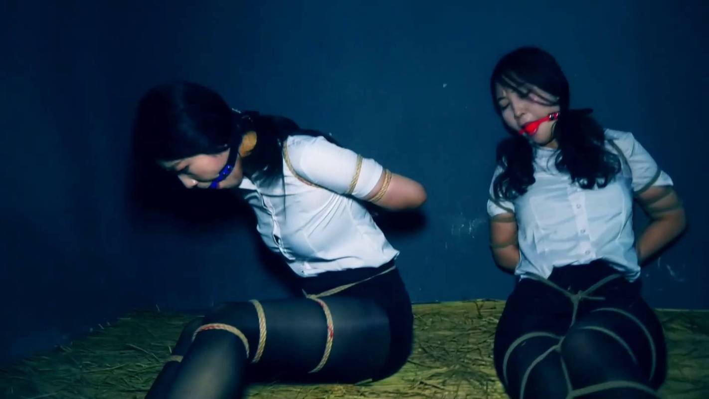 胜景山庄影视作品新作品之双花卧底(第二集)两美籹秘书在押往总部时候路上逃跑可惜又被抓回来!这部作品可以在线看!