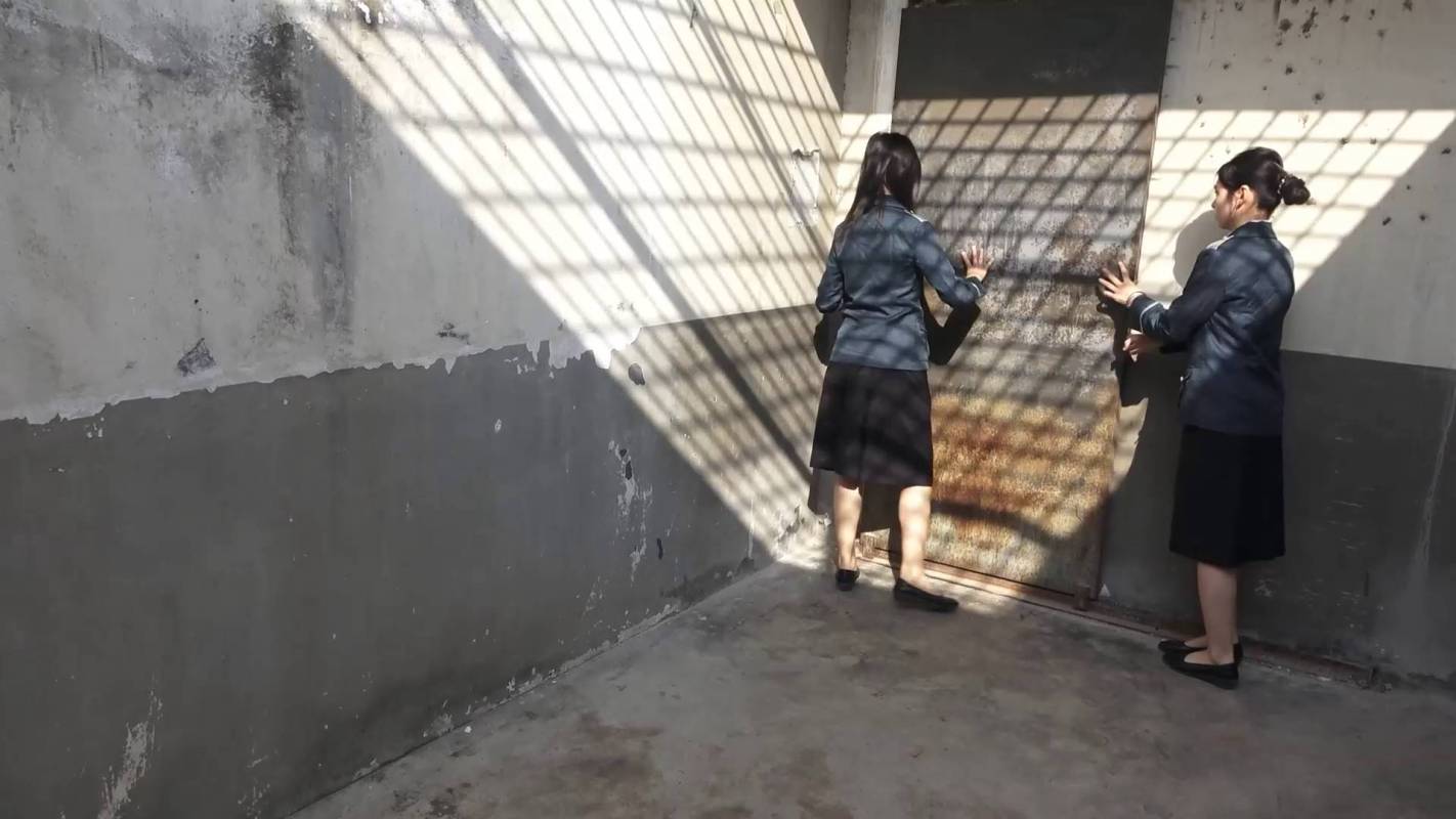 梨花雨影视视频资源新作品之坠入深渊!这部作品可以在线看!