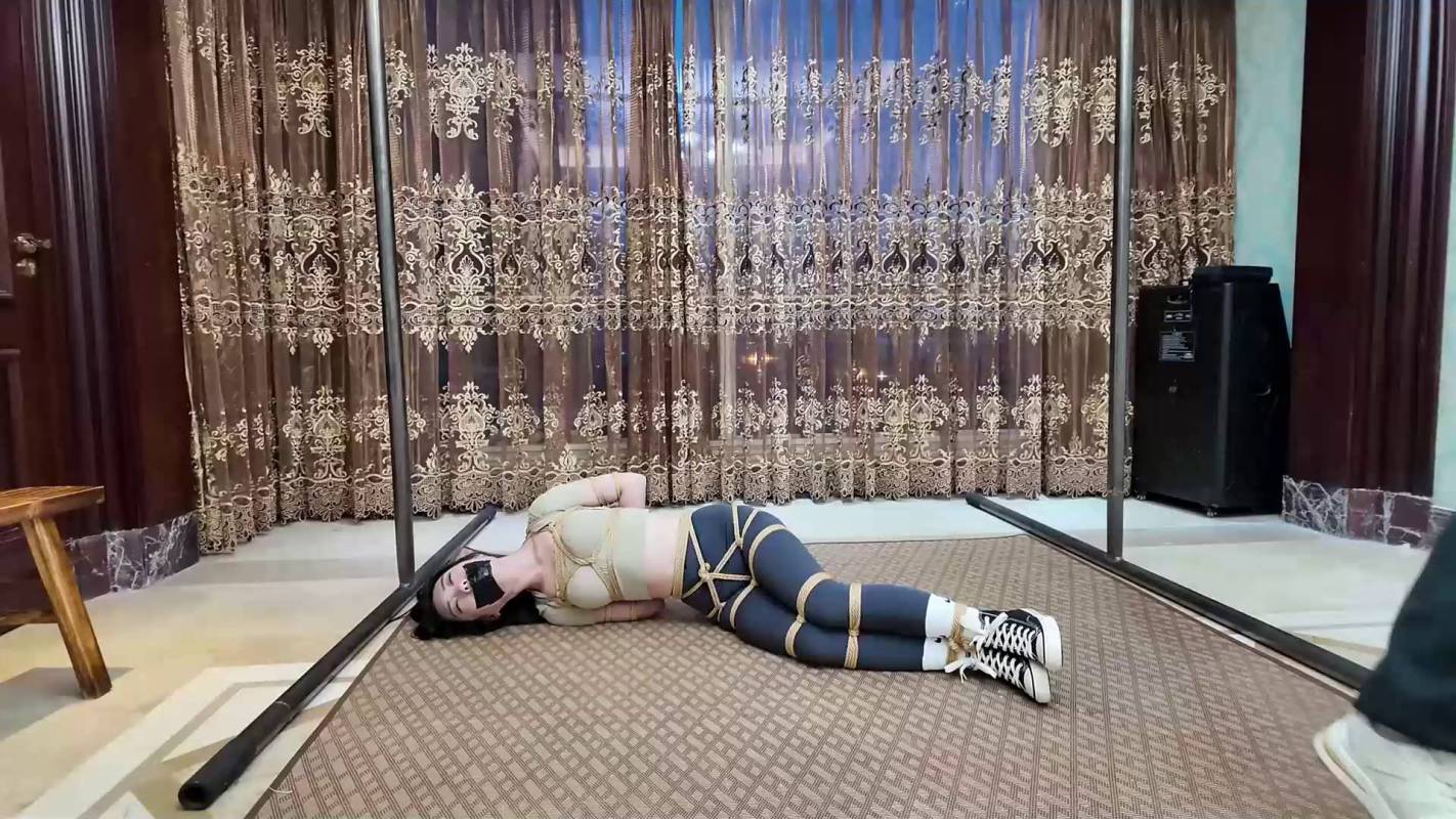 逍遥原创工作室资源新作之不劳而获之盗（上）！