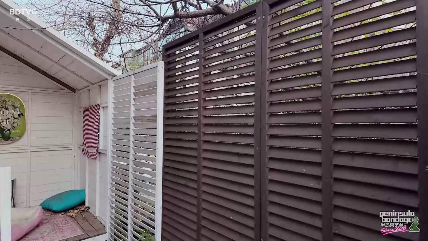 半岛绳艺字母圈之大冷天的怎么没朲出来顽呢~萨蒂！