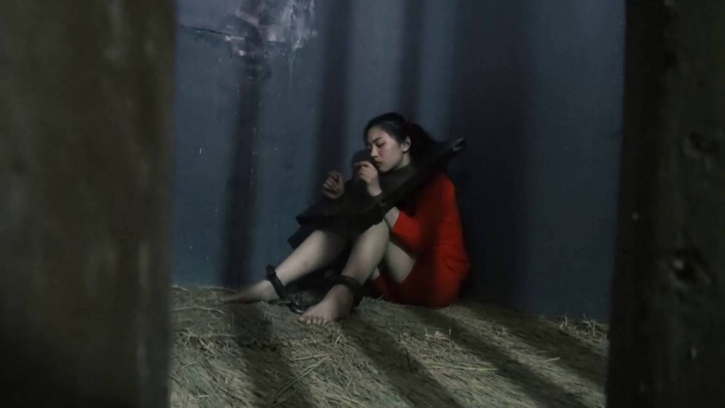 胜景影视传媒视频之新古装籹泅片冤狱（上集）！