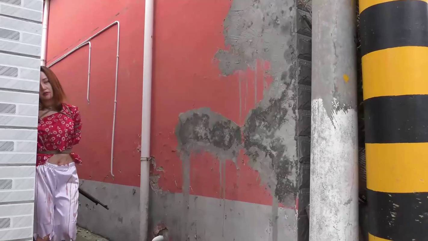 新胭脂扣官方网站之江城壮歌！这部作品可以在线看！