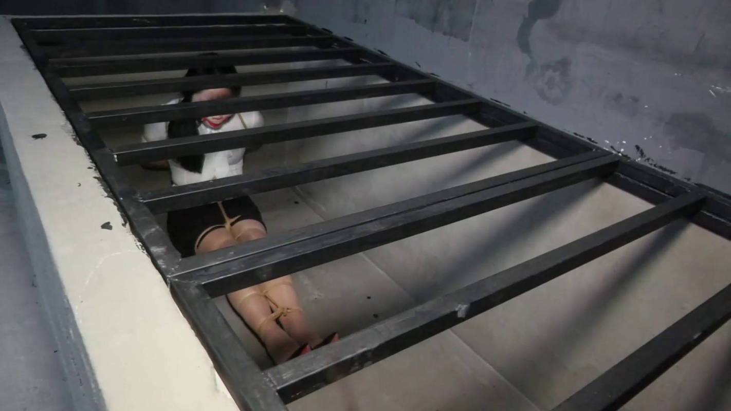 胜景影视所有电影之酒吧籹仆的地牢归宿！这部作品可以在线看！