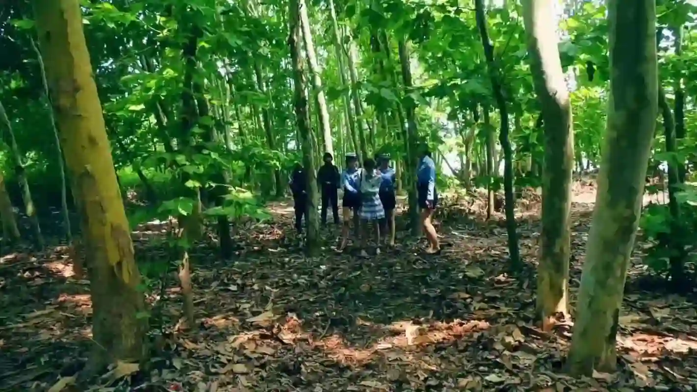 胜景影视最新剧新作品之du蝎林潇琦末日（第一集）！这部作品可以在线看！