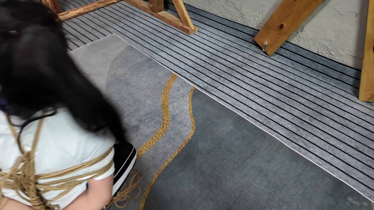 逍遥驷马在线观看全集新作品之小遥的故事续集!这部作品可以在线看!