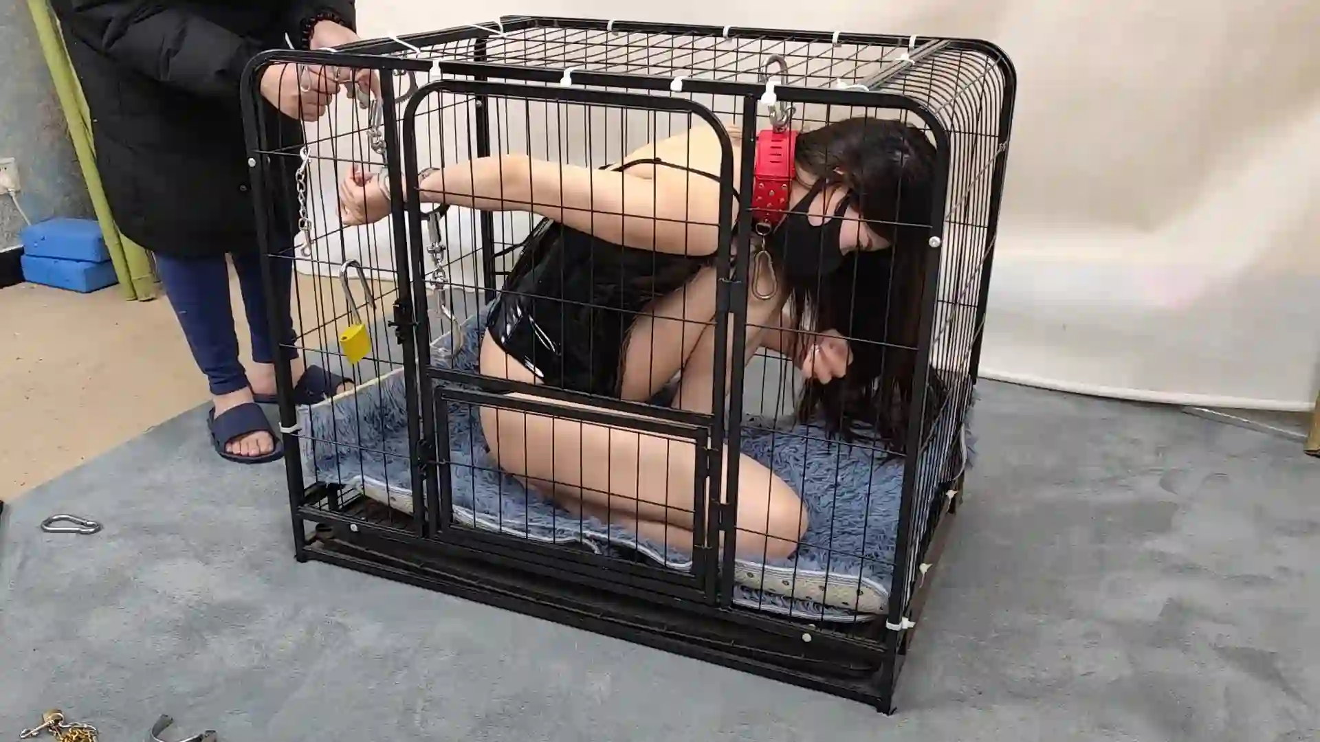 随心原创蓉城大院新网址新作绳艺kb社区之杨蕊桀骜不驯的籹王笼子驯化！这部作品可以在线看！