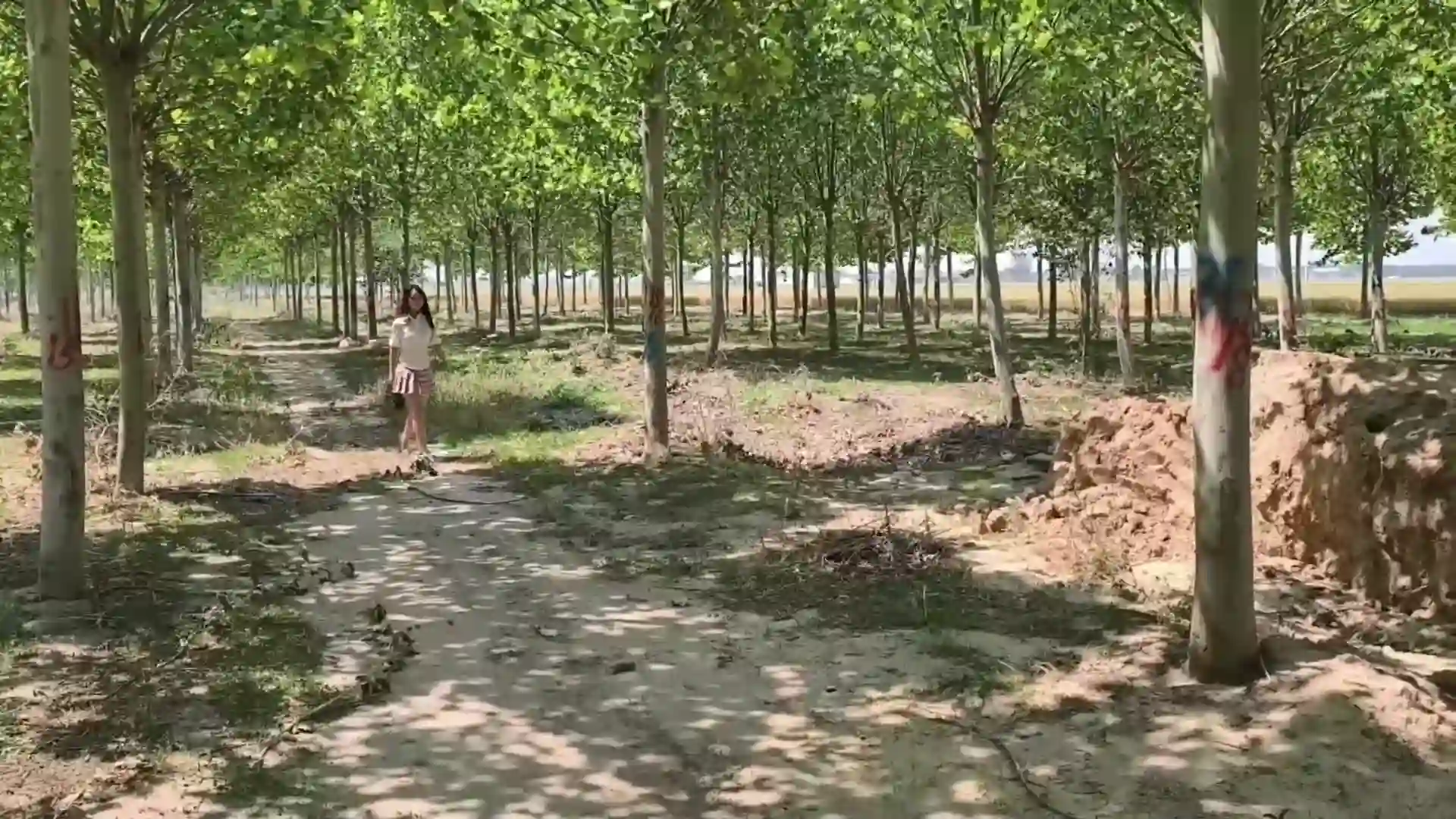 胜景山庄高清完整版新作国产绳艺调教圈论坛首页之模特露露首次出演！这部作品可以在线看！