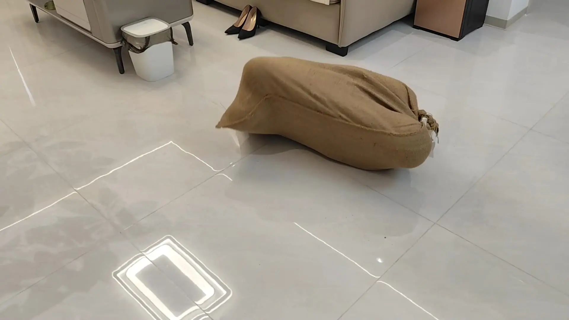 逍遥原创影视新作绳艺捆绑视频网站之因完不成业绩被装麻袋处理掉！这部作品可以在线看！